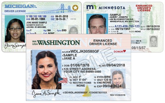 enhanced drivers licenses