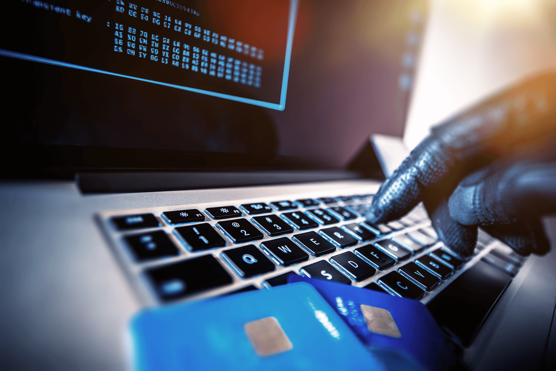 fraud cards online 1